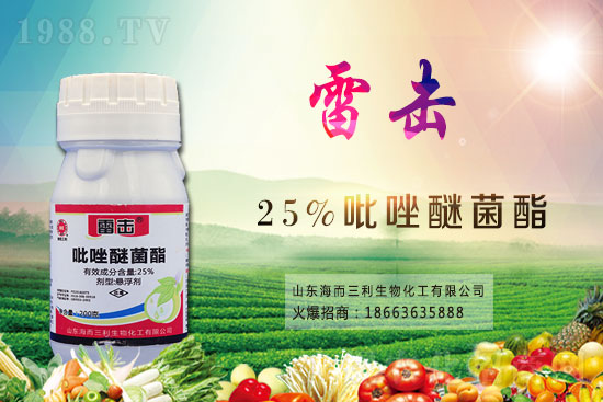 ħ��r������Xһ����2021��ħ��Nֲǰ�������