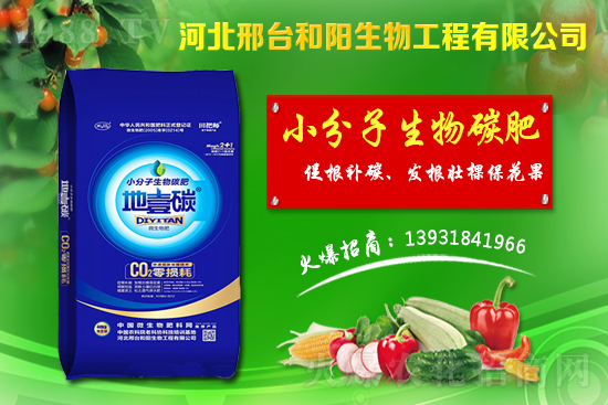 ����(ji��)ǰС���r��������q������С���r��������