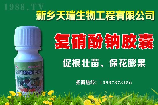 ���[һ�����ܮa(ch��n)���ٽ������[�r�����ϝq��