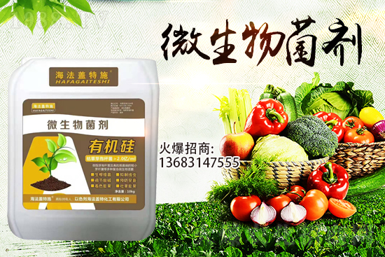 ������(l��i)�u��������m(x��)�͜�����������Ҫ�c(di��n)��