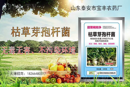 �ݲ�ѿ�ߗU���ܽ�Q������Щ���}���ݲ�ѿ�ߗU�����r(n��ng)�����ϵđ�����