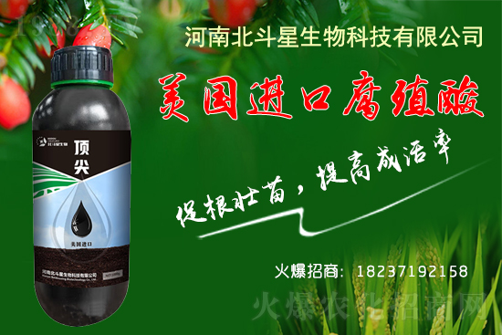 �ؗ͜l����������Nֲ��������������B(y��ng)�����o(h��)��