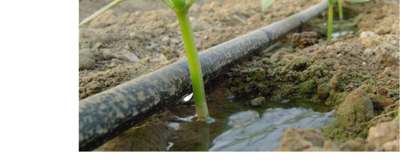 �B(y��ng)���ٸ����ЙCˮ�ܷ���-һ���r(n��ng)�I(y��)_09