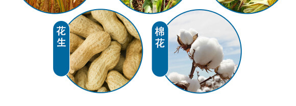 ����������ЙC(j��)ˮ�ܷ���-һ���r(n��ng)�I(y��)_09