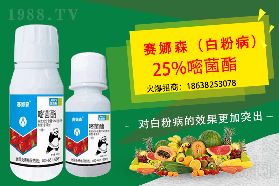 ��ݮ�׷۲���(l��i)�u���p�~��������ݮ�׷۲�Ҫ��η��أ�