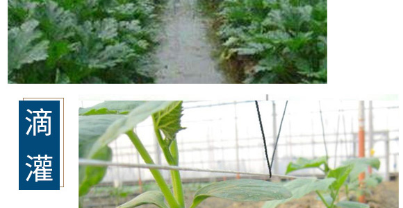 �B(y��ng)���ٸ����ЙCˮ�ܷ���-һ���r(n��ng)�I(y��)_08