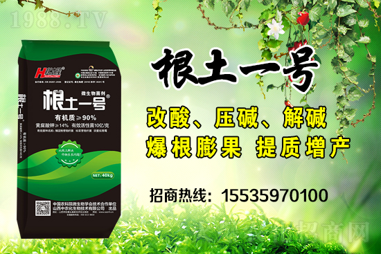     ΢��������е�΢������ʲô������΢�����������θ�����������