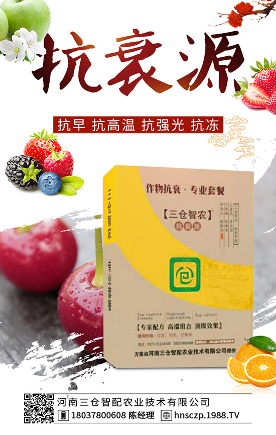 ���·��m�ϷNֲʲô�߲������·��߲˷Nֲע�����(xi��ng)��