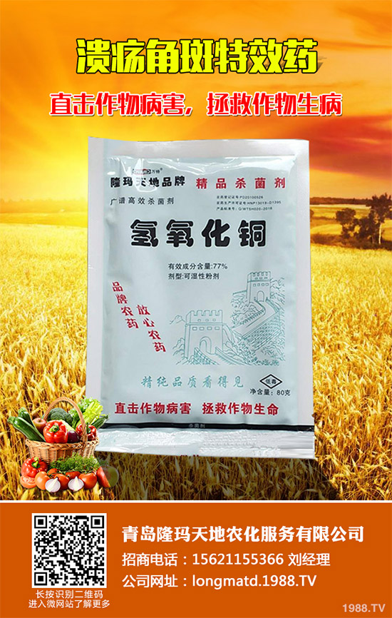 ����(sh��)�������r(ji��)��