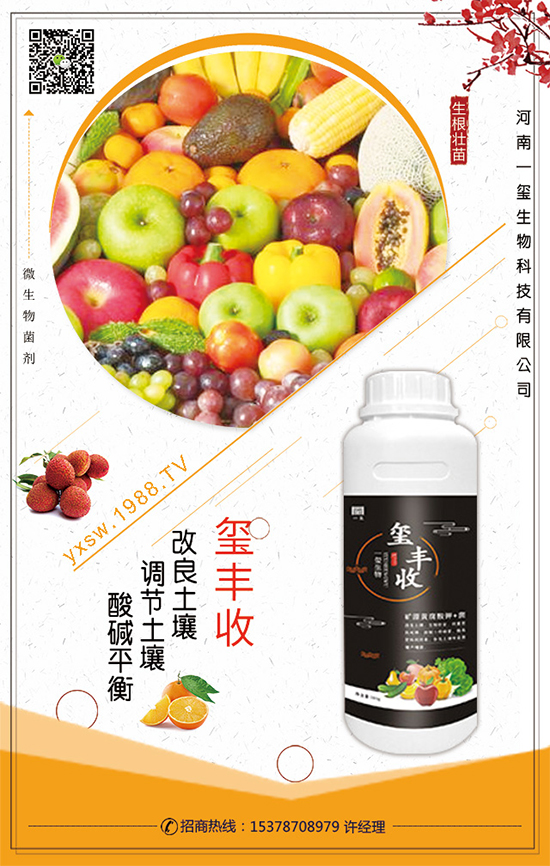 ���Ĳ�ʲô�r(sh��)�g���ࣿ���Ĳ˵�����Ҫ�c(di��n)��