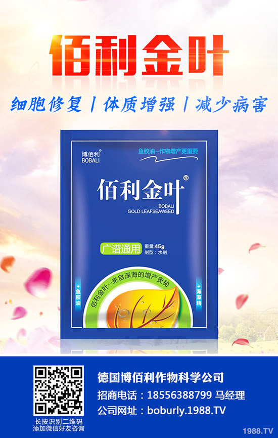 ��������A���ʺ����l(f��)���ʺ�������a����