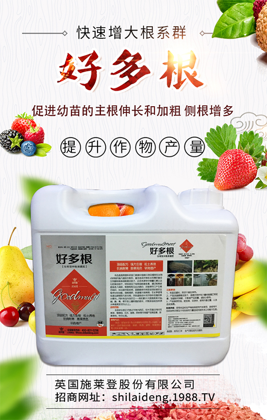 ����������ʲô�r(sh��)��Nֲ�������˷Nֲ���g(sh��)Ҫ�c(di��n)����Щ��	