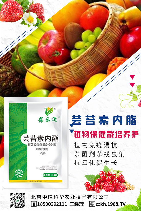 ���Ҫ��ô�Nֲ�����ˮ�ʹ���Ҫ�c��