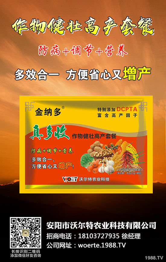 ������ô�N����������ѷNֲ�r�g�����༼�g(sh��)��