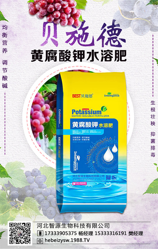 ���ϵ��������������ϲ��NҪ�c(di��n)���Nֲ�ܶ���