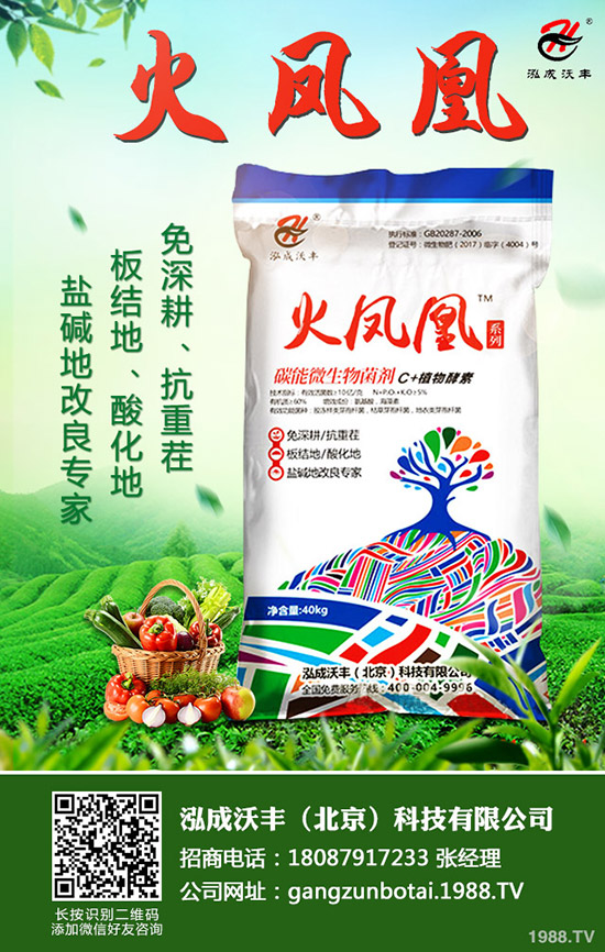     2020��4�µڶ���������(n��i)��(f��)�Ϸ��Ј��r�������܈�(b��o)