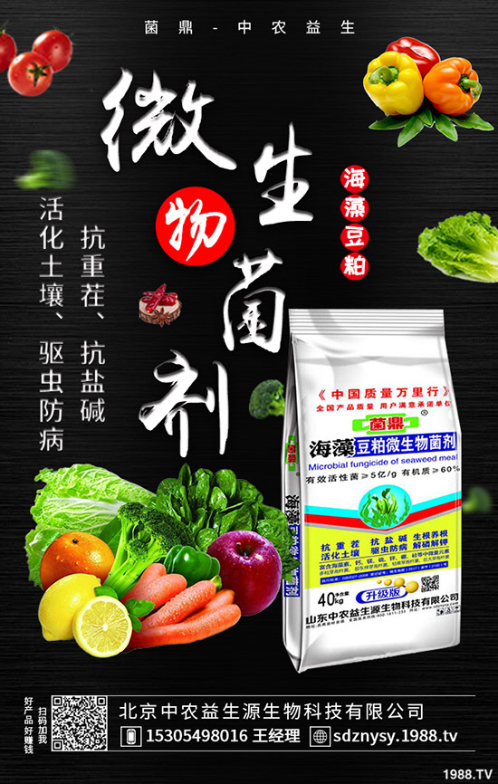     �����÷ʻ����Y(ji��)��������⛷ʃr���߄��A(y��)�y2020-4-13