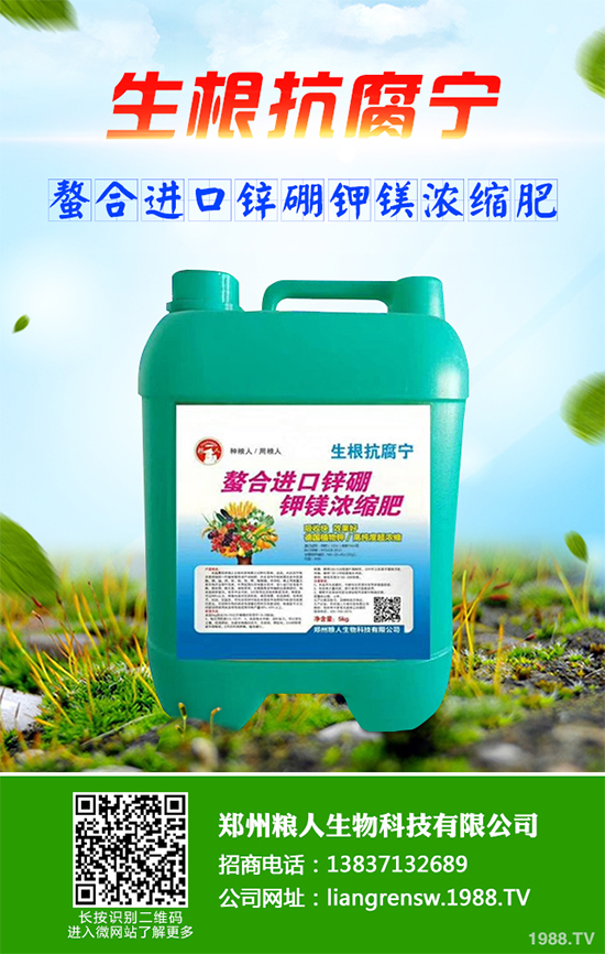 ���~��ԓ��ηNֲ����ˎ�����~��߮a(ch��n)�Nֲ���g(sh��)Ҫ�c(di��n)