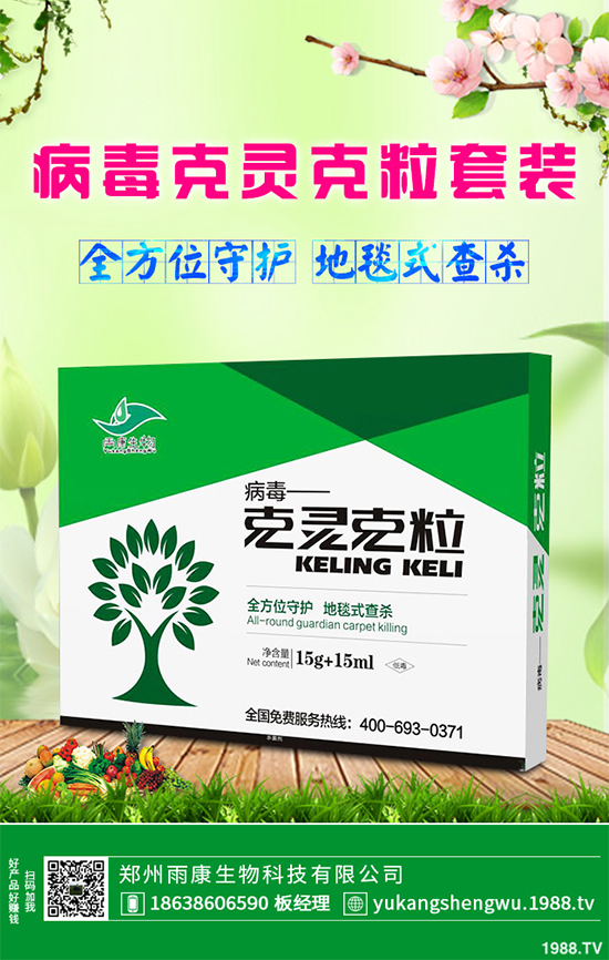 �W�ˌ�Ҫ���á���ɭ�i�\����