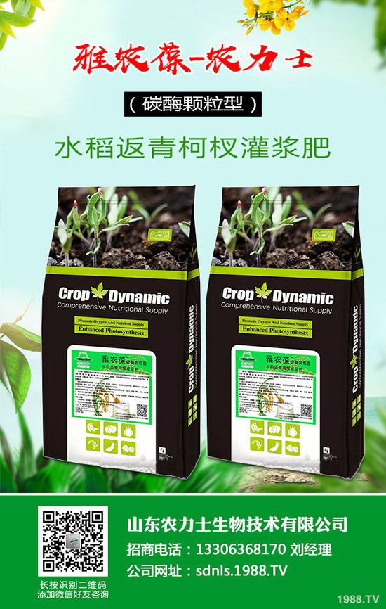     ԭ�σr�񲨄����ͺϷʳɽ��ܴ죡2020��4��14�����ͺϷ������߄ݷ�����