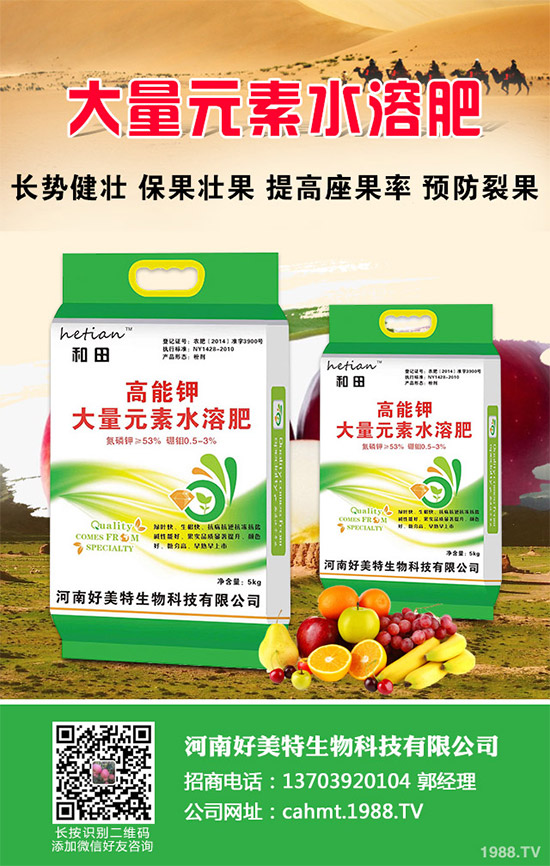 ��(x��)���[��ηNֲ���ܸ߮a(ch��n)����Ҫע��ʲô���@�傀(g��)С���ɷ���һ����