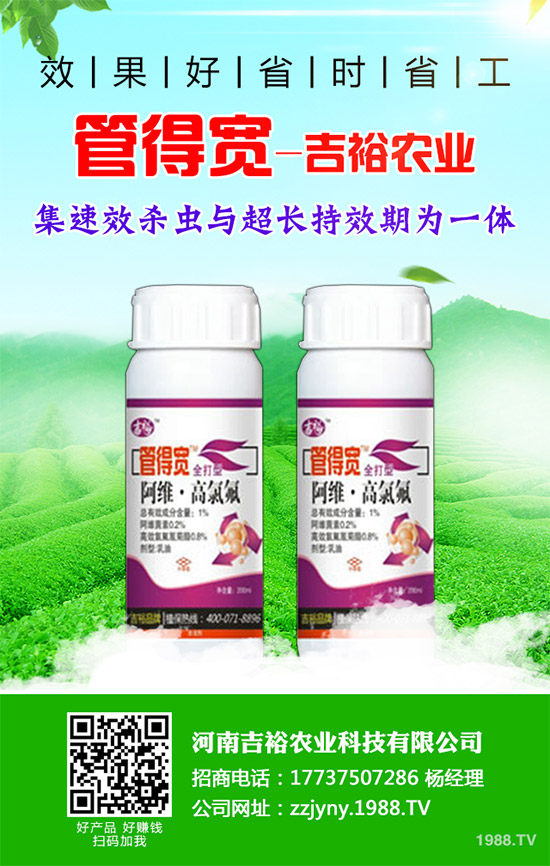 �����������x�������������������g(sh��)����