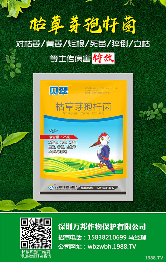 С����ù��ˎ������Ч����������׃����