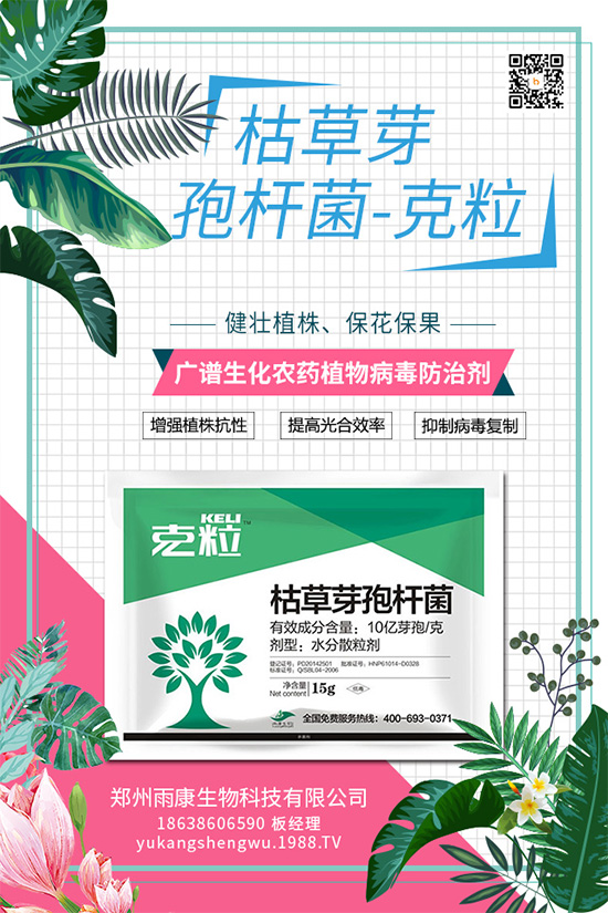 ����(n��i)����(chu��ng)��ֲ��Դ������ˎ���ذ����u��