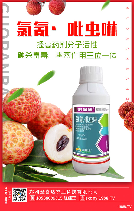 ��������ӛ���������x�y��߀�������������T��Ҫ���(qu��n)��������