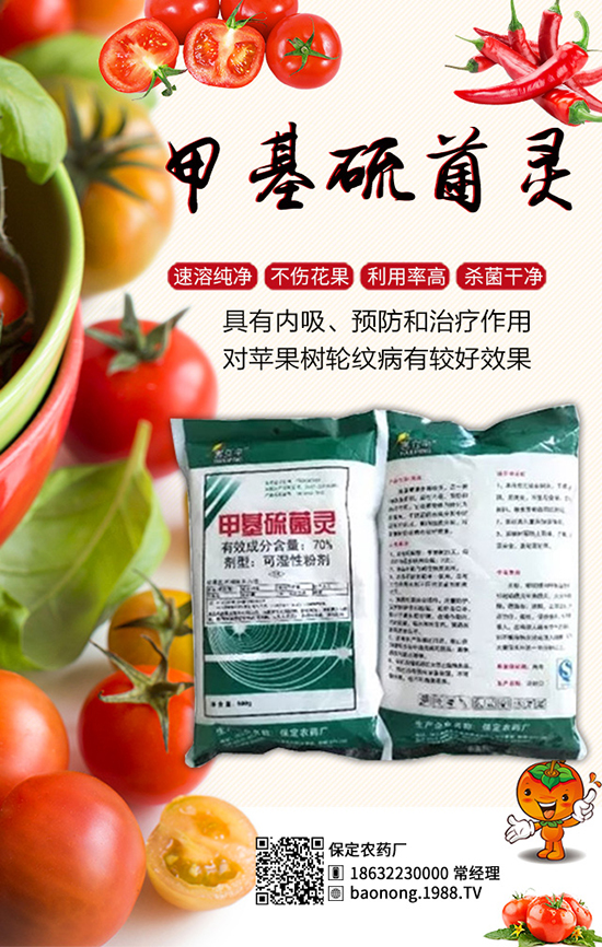 �������t�����༼�g(sh��)���������t�����x��������