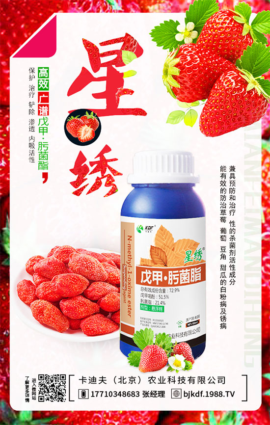 ����Ҫ��Ҫ���������������_��֦����أ�