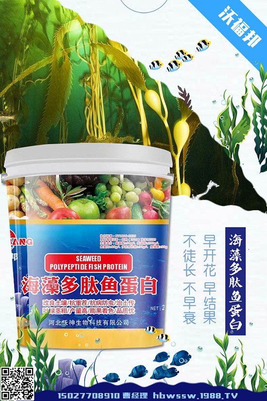     ���ӷNֲ��Ҫע����Щ��(w��n)�}�����ӵ�ˮ�ʹ���Ҫ�c(di��n)��