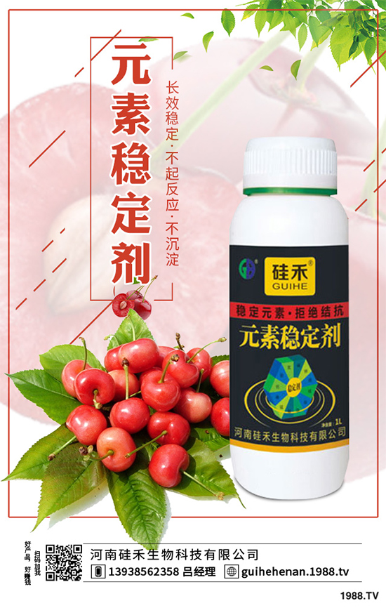 ��ˎԓ��ô�Nֲ����ˎ�Nֲ�İ˴��E�����������