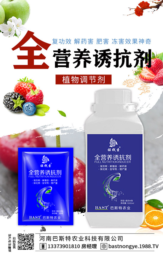 �Y(ji��)����{(l��n)��ôʩ�����Y(ji��)����{(l��n)��ʩ�ʼ��g(sh��)��