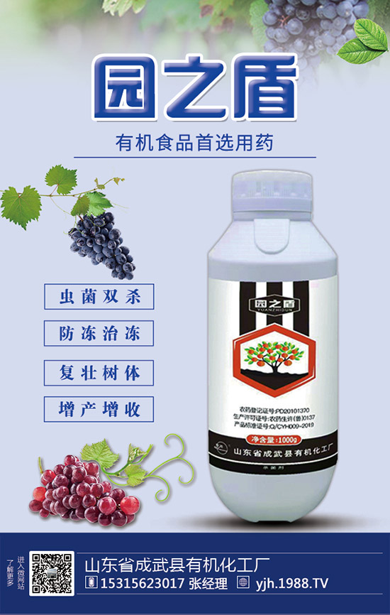 �����������������ʩ�ʼ��g(sh��)��Ҫ�c(di��n)��