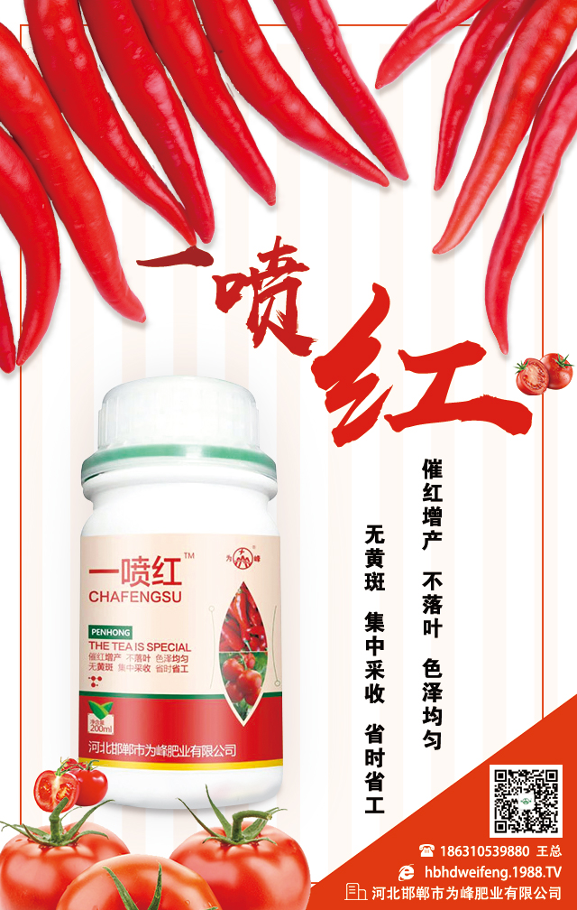 �ӱ������О��ʘI(y��)���޹�˾2