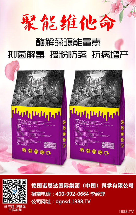 �ܱ��Ϲ���ô�Nֲ���ܱ��Ϲϵ����༼�g(sh��)Ҫ�c(di��n)�c������