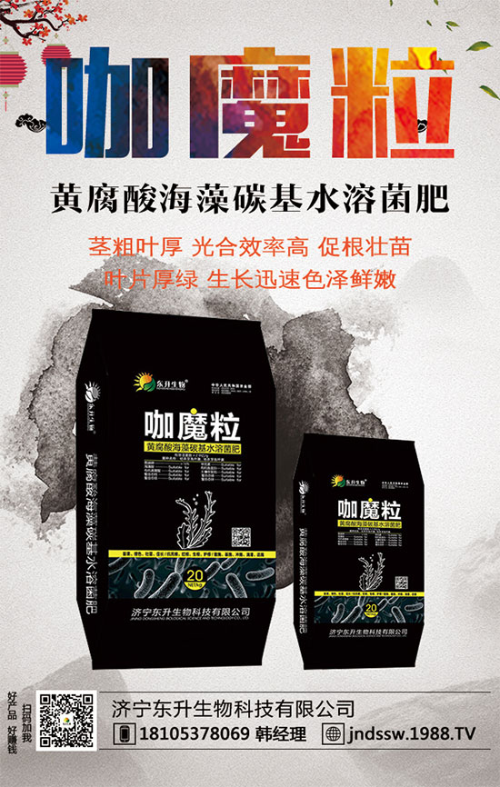 С����ʲô�g�Nֲ�r(sh��)��С���۷Nֲ����Ҫ�c(di��n)��