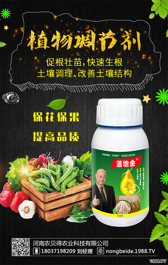 С��������Щʳ�Ãr(ji��)ֵ��С���۵��ΑB(t��i)������