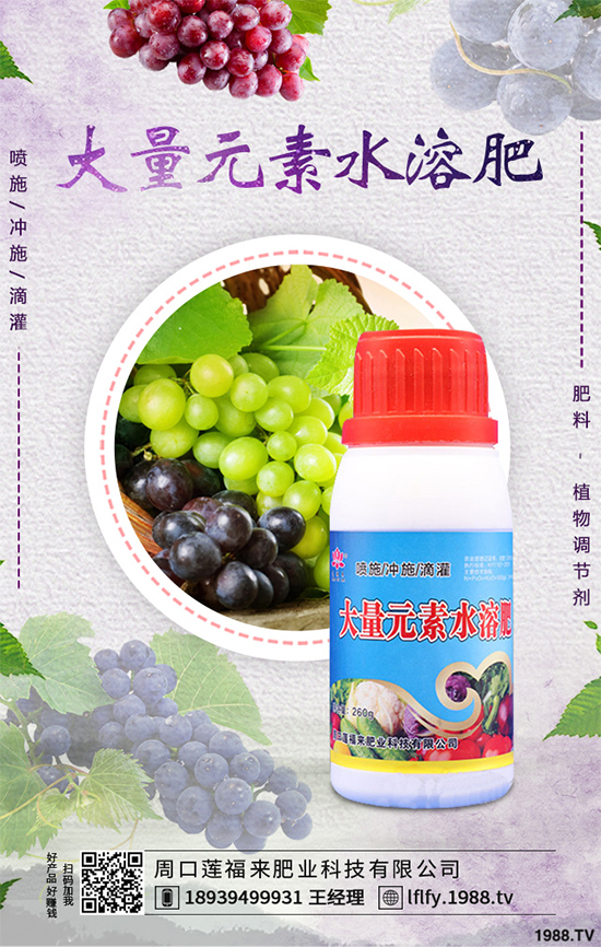 ���v�̶����Xһ�����Nֲǰ���������ˎ�ĵ�Ч�����