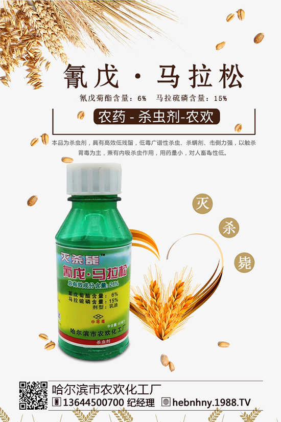 �x(ch��ng)���߷��ڡ������x(ch��ng)ຸ�Ч���x(ch��ng)�����Դ������