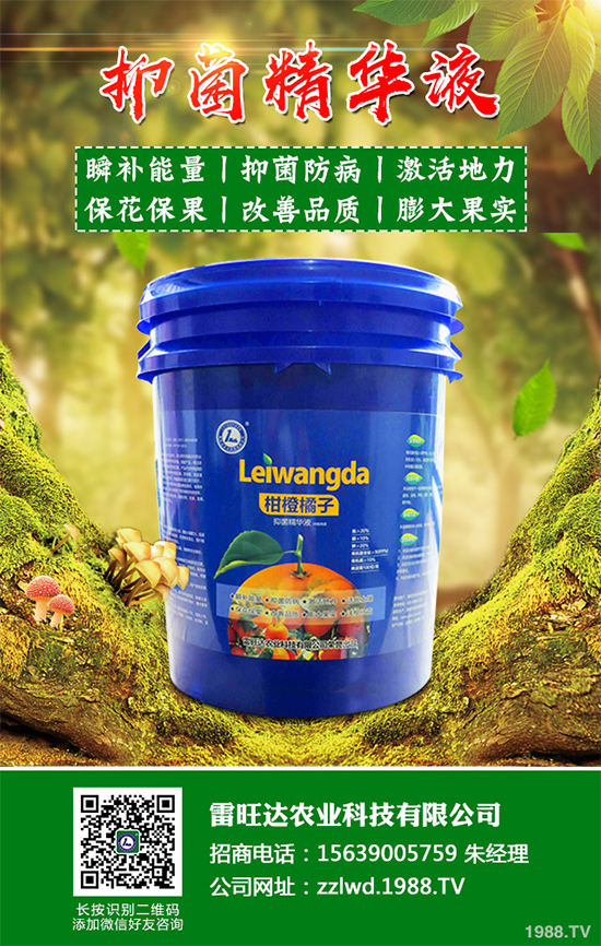 �~�Ȳ��Ј��r������Xһ����2020���~�ȲݵķNֲЧ�����