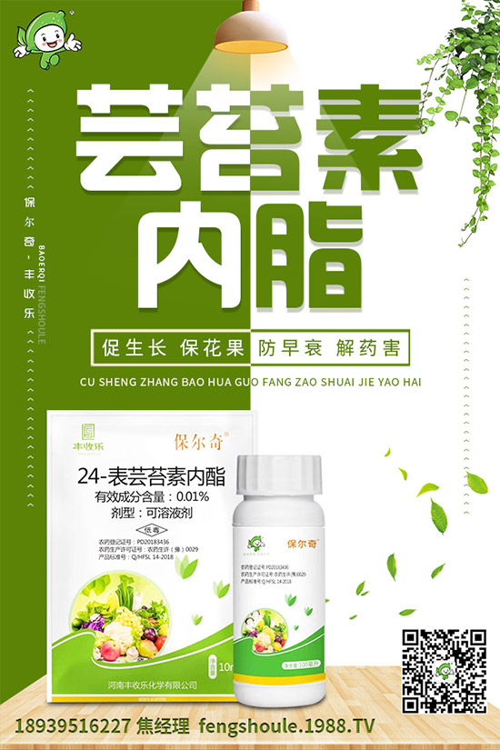 �������ô�޽�����ϼ޽Ӹ߮a(ch��n)�Nֲ���g(sh��)��