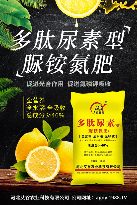 �ļ����NֲҪ�c���ļ������缼�g(sh��)�����ڹ���