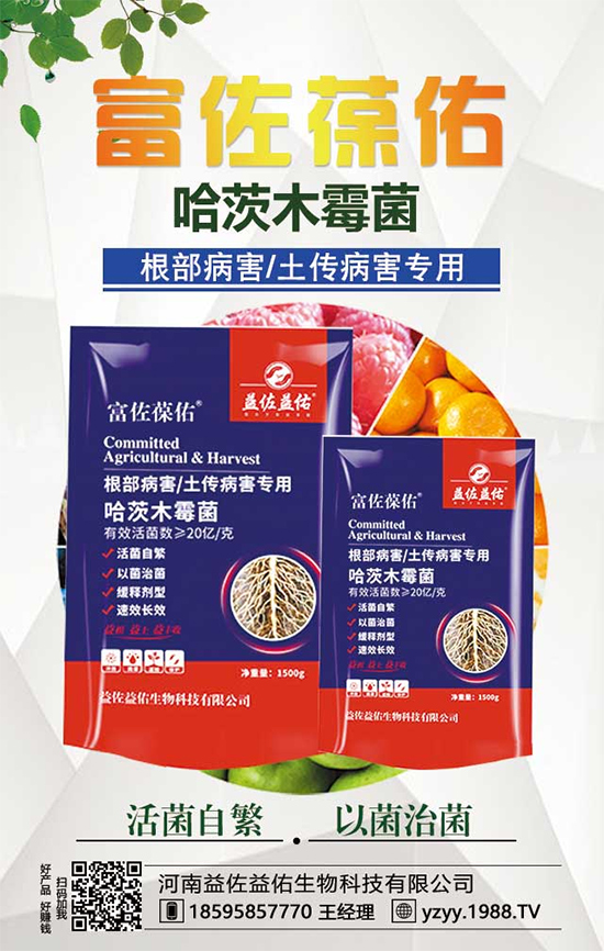 ���^����ʲô�I�B(y��ng)�rֵ�������^��ʲô��̎��