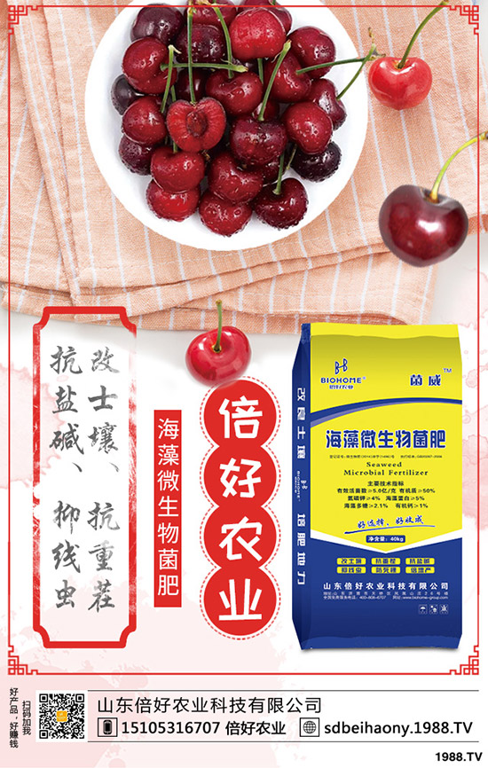     �ļ��÷��_ʼ������2020��5��11�����ͺϷʃr���������