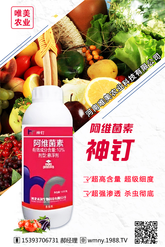 ���[������Ʒ�N����Щ���Nֲ���[���h(hu��n)���l����Ҫ��