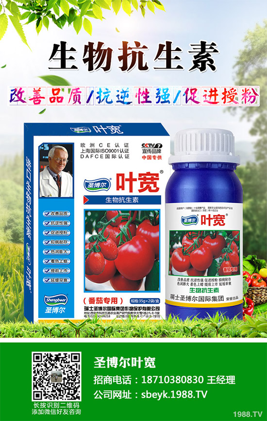 ���ﱡƤ���ԓ�����������Ƥ��ϸ߮a(ch��n)���༼�g(sh��)