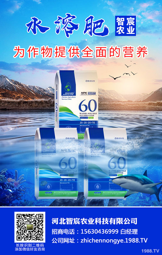 2020���؃r(ji��)��Ҫ�ϝq���������������߄�(sh��)������