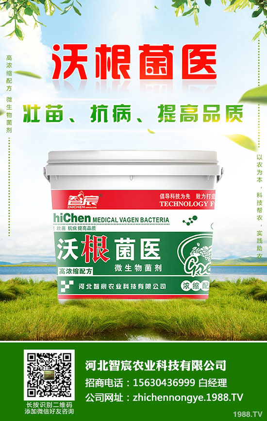 ⛷ʃr�����wƫ���\��������⛷��������2020-5-15��